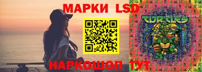 индика Ливны