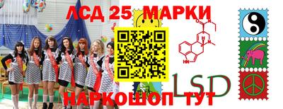 индика Ливны