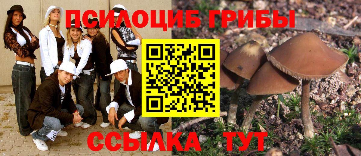 Псилоцибиновые грибы мухоморы Советск